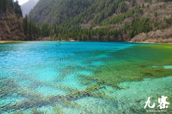 为什么很多公司会组织旅游,而不是直接发钱呢?-全面解答你的问题